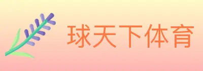 球天下体育 logo